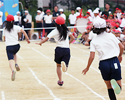 体育祭・運動会 レンタル特集