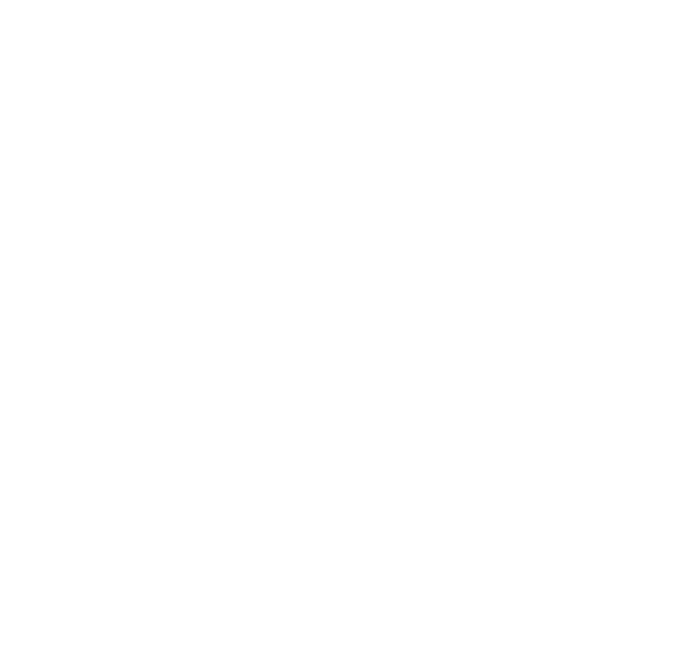 DIGITAL SPACE SHOW